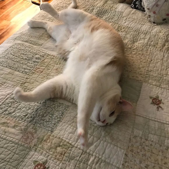 MzPamPosh - Picture 8 of 8